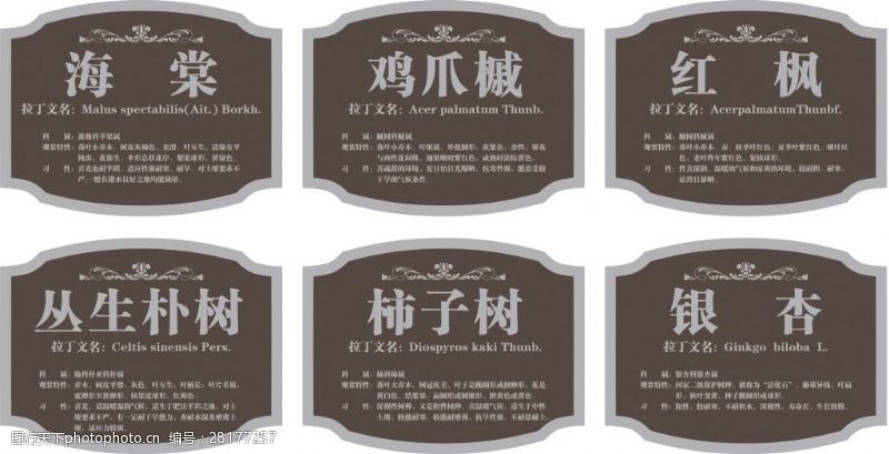 樹銘牌 自然與信息的和諧使者